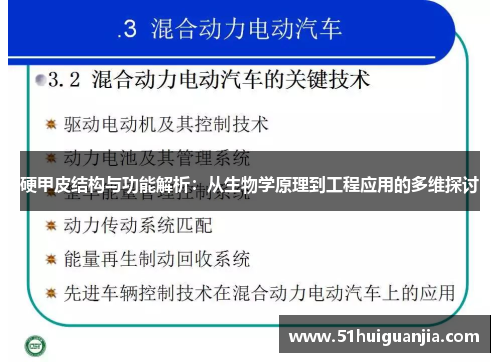 硬甲皮结构与功能解析：从生物学原理到工程应用的多维探讨