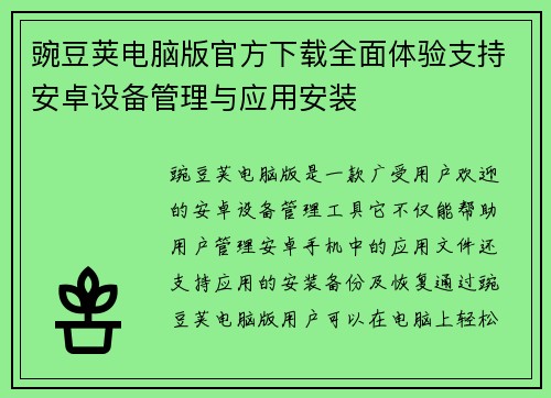 豌豆荚电脑版官方下载全面体验支持安卓设备管理与应用安装